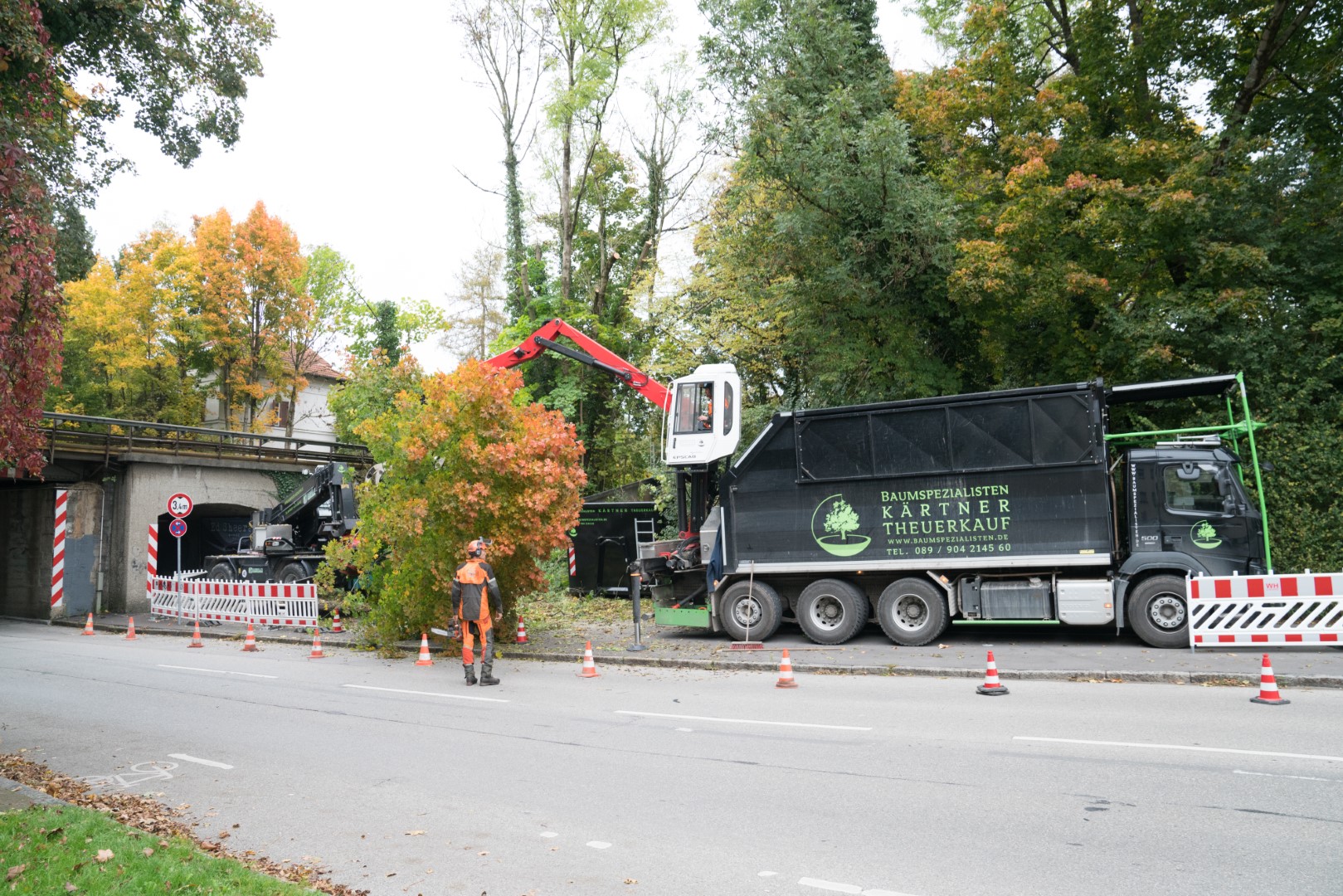 DSC05552 (Groß).jpg